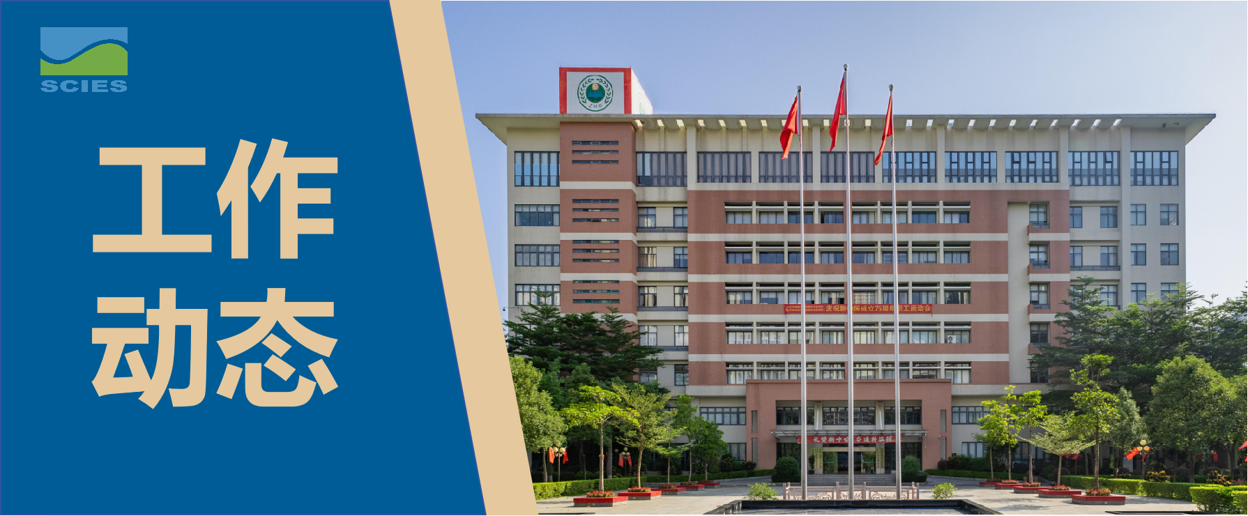 工作动态.png