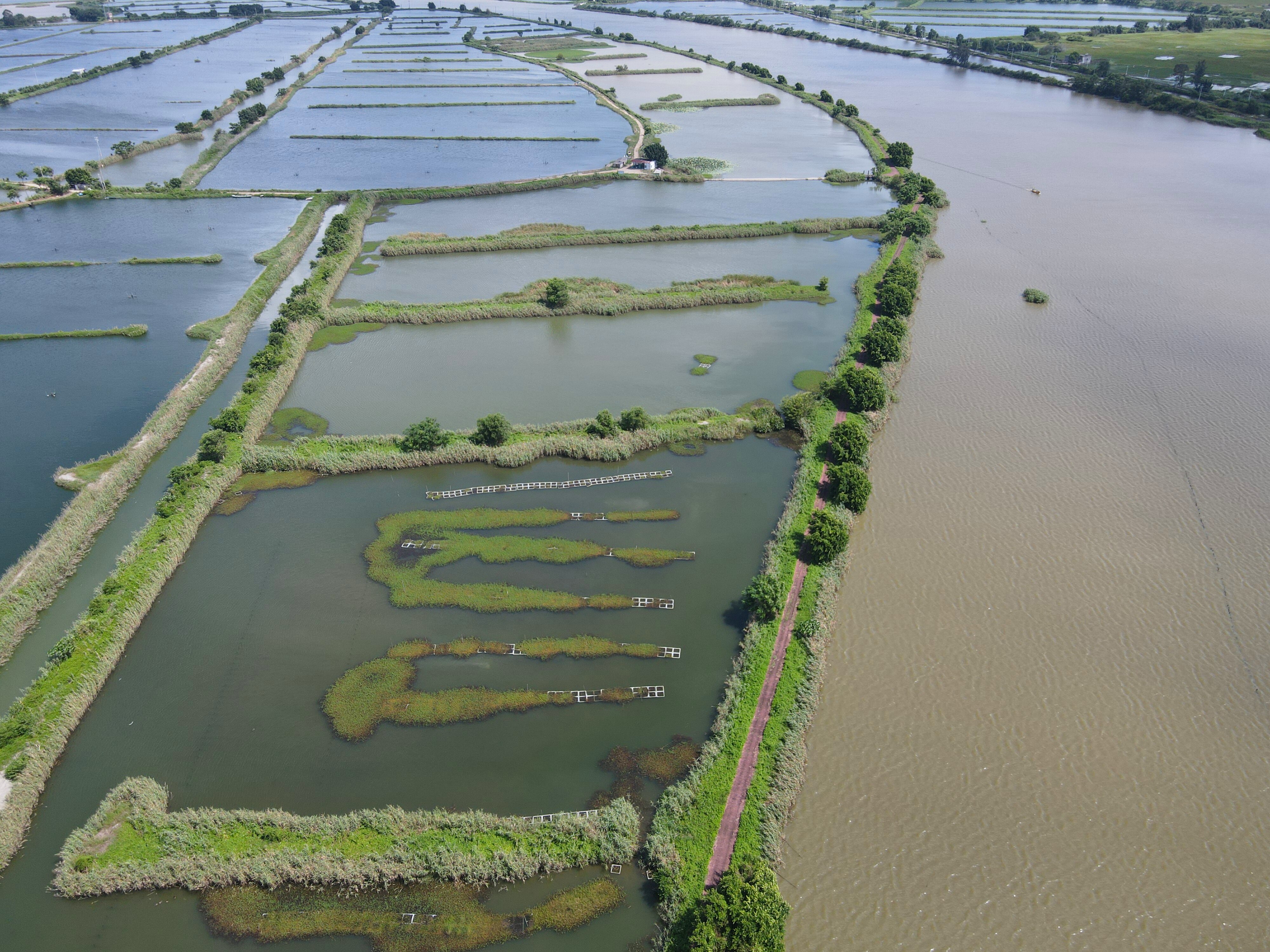 赤坑湿地（治理后）.jpg