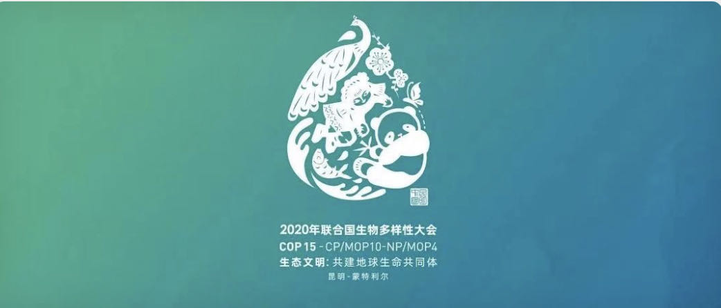 COP15.jpg